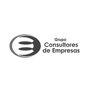 GRUPO CONSULTORES DE EMPRESAS